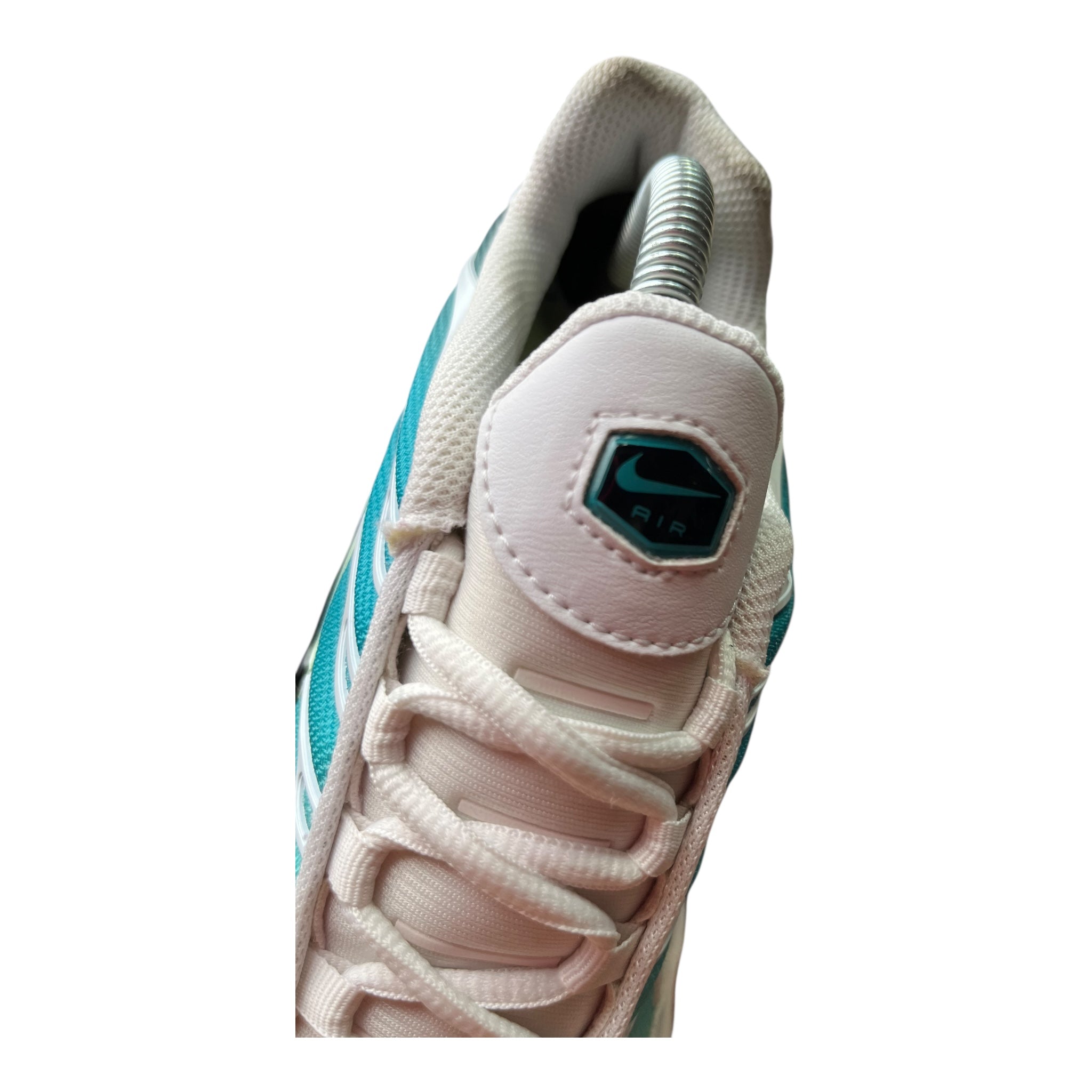 Nike Air Max Plus Tn Dusty Cactus  (41EU)