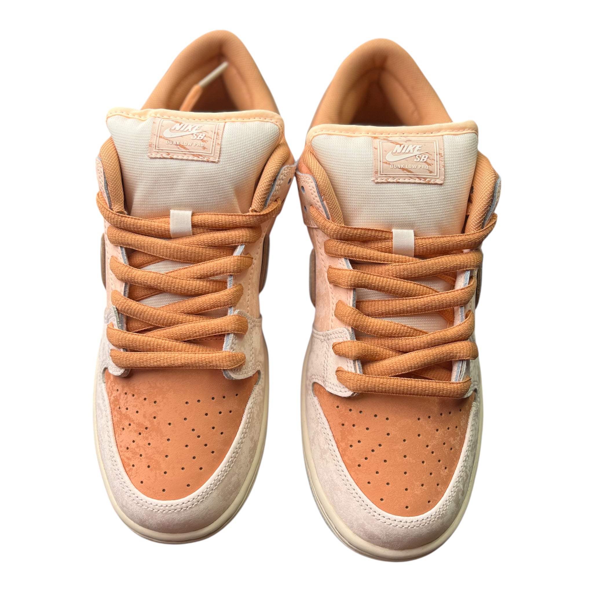 Nike Dunk Low Sb Trocadero Gardens (42.5EU)