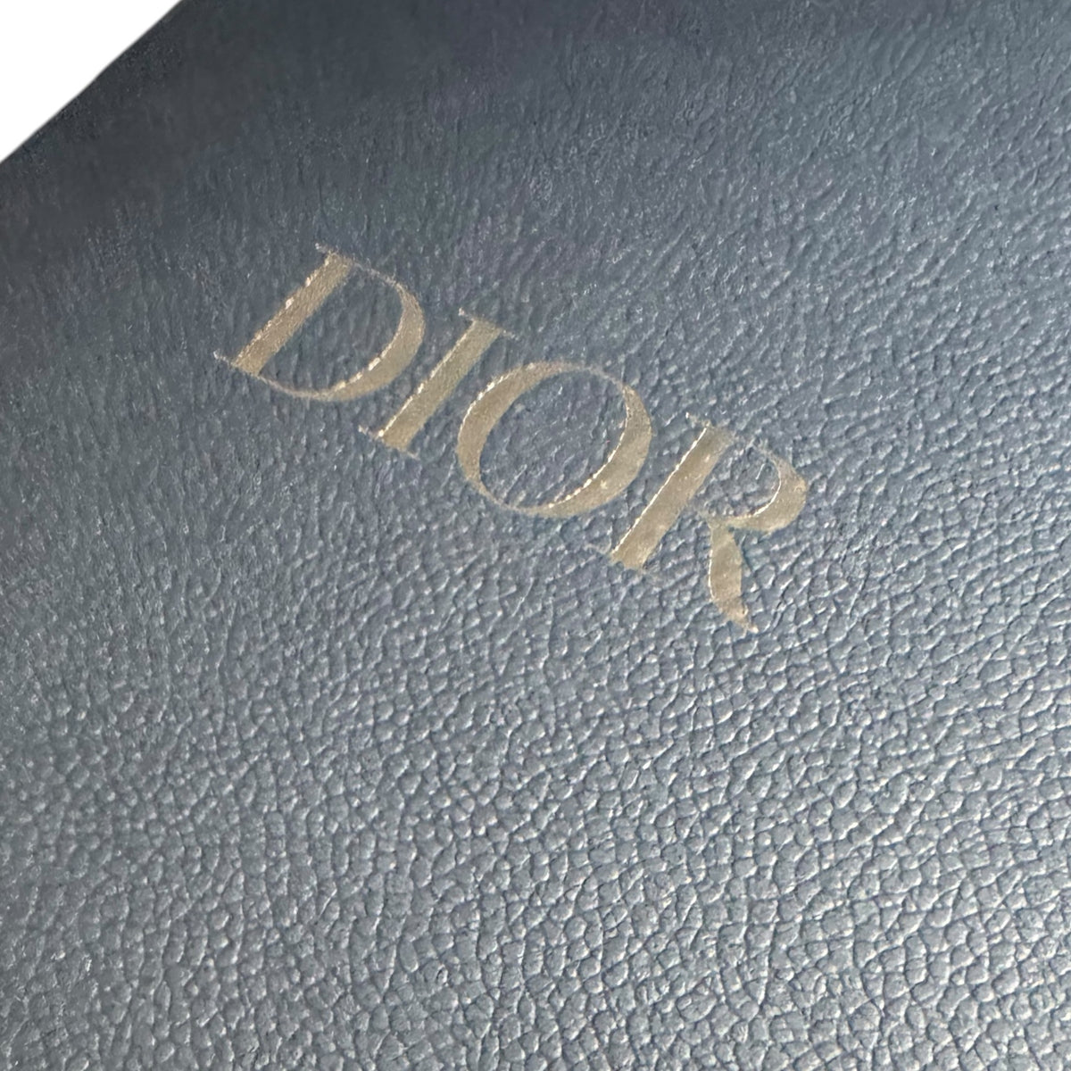 Dior B27 (43EU)