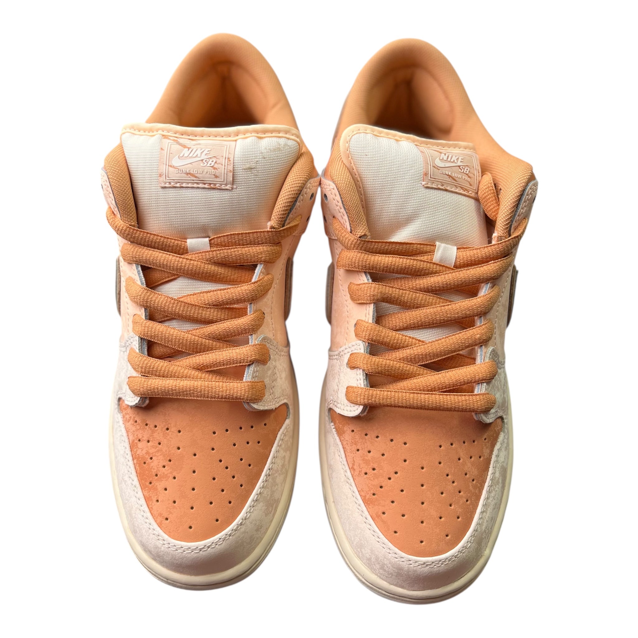 Nike Dunk Low Sb Trocadero Gardens (44EU)