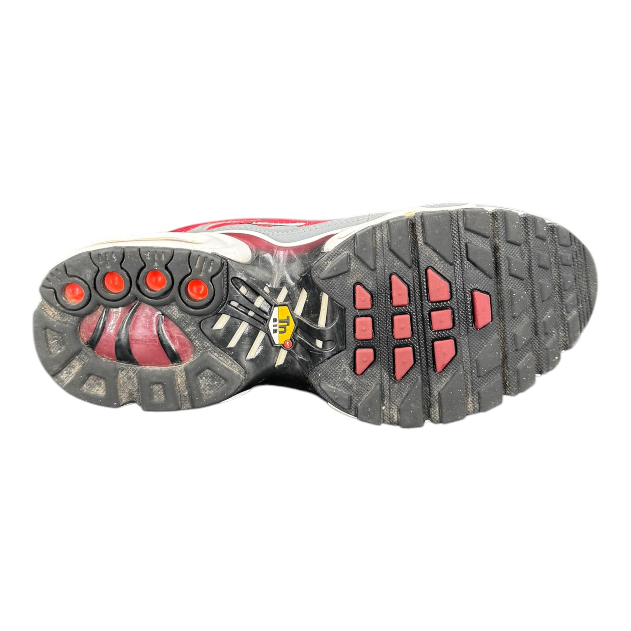 Air Max TN (39EU)