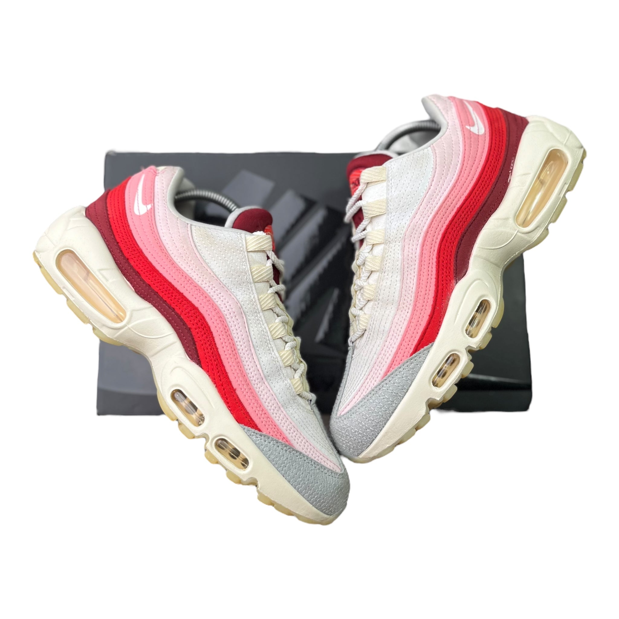 Nike Air Max 95 Anatomy Of Air (40.5EU)
