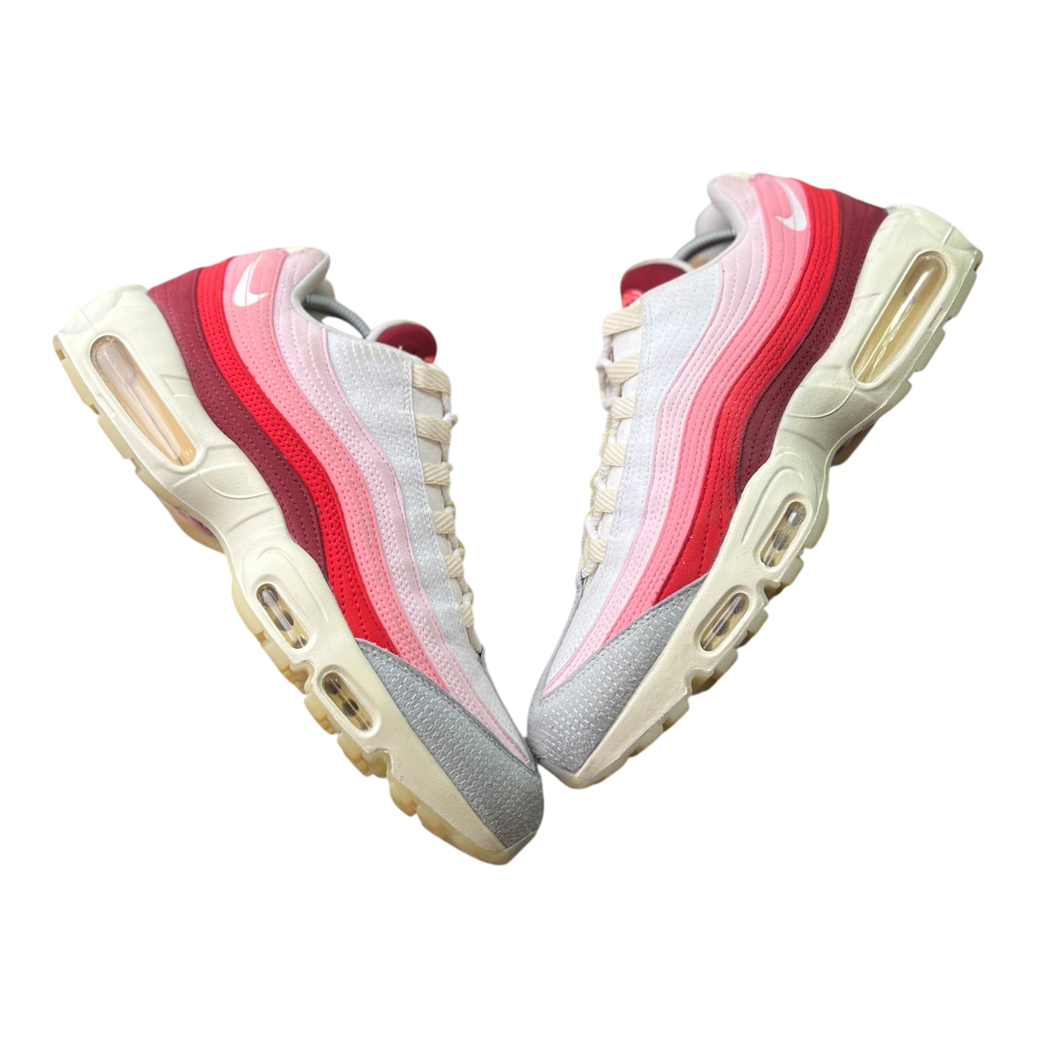 Nike Air Max 95 Anatomy Of Air (46EU)