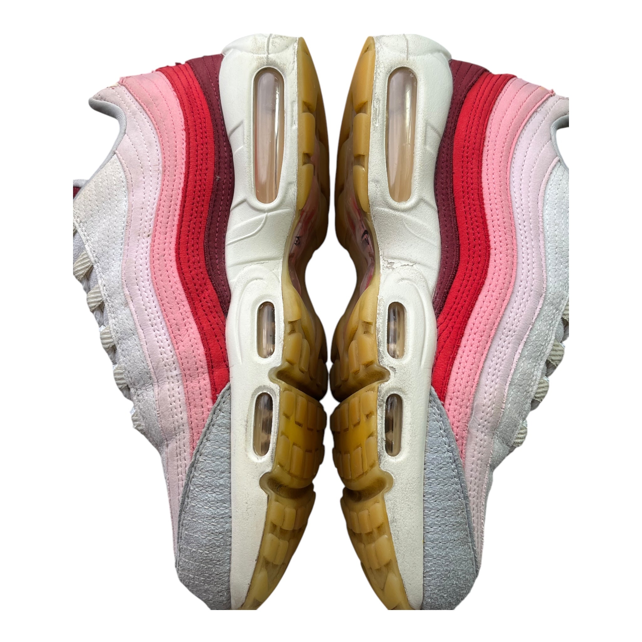 Nike Air Max 95 Anatomy Of Air (42.5EU)