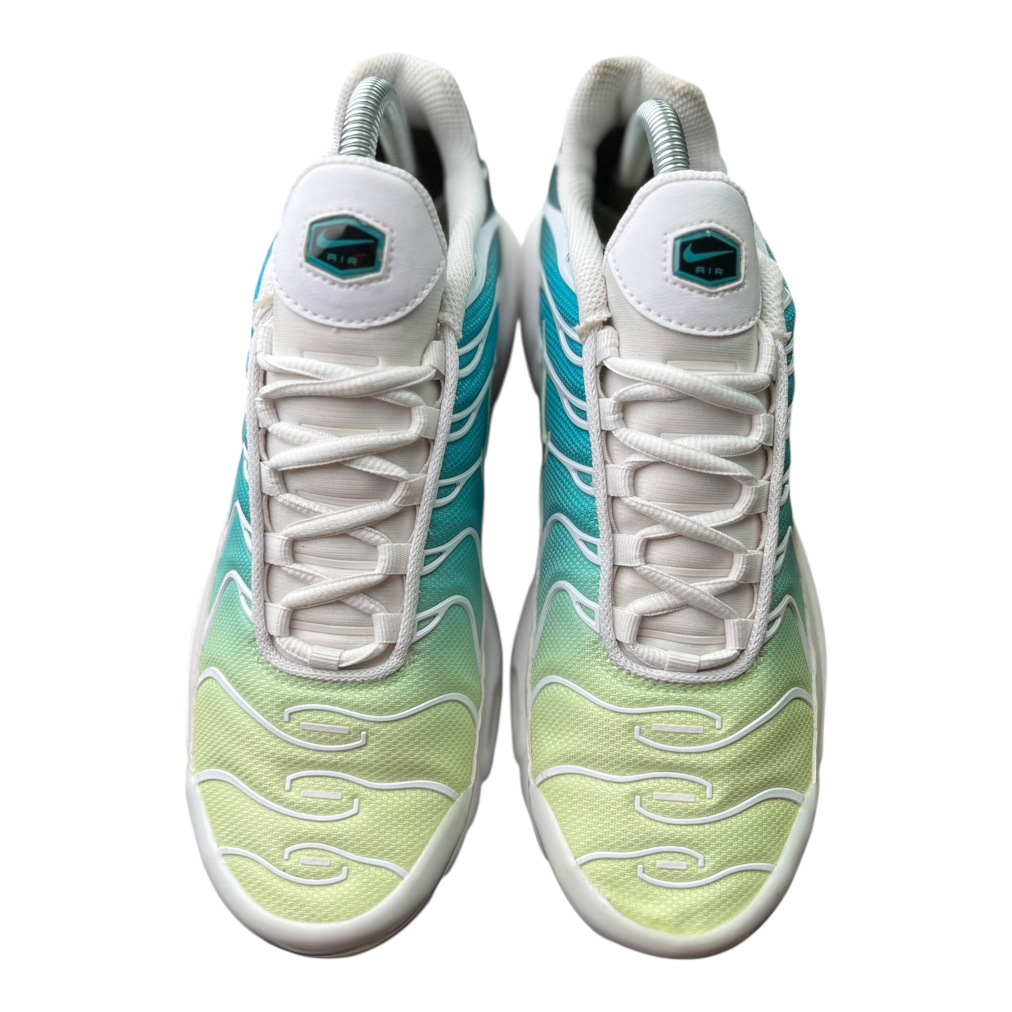 Nike Air Max Plus Tn Dusty Cactus  (41EU)