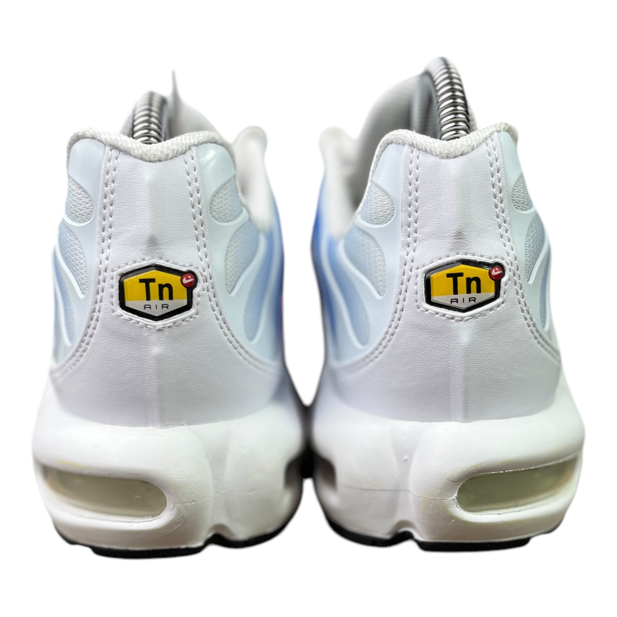 Nike Air Max Plus Tn Sommerverlauf (43EU)