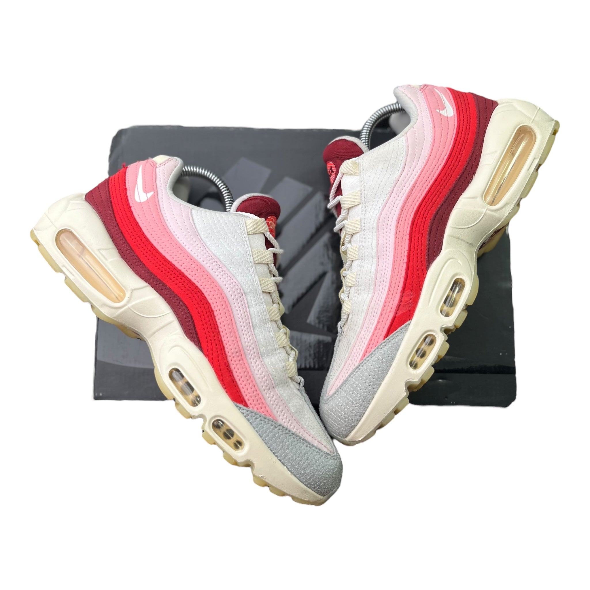 Nike Air Max 95 Anatomy Of Air (42.5EU)