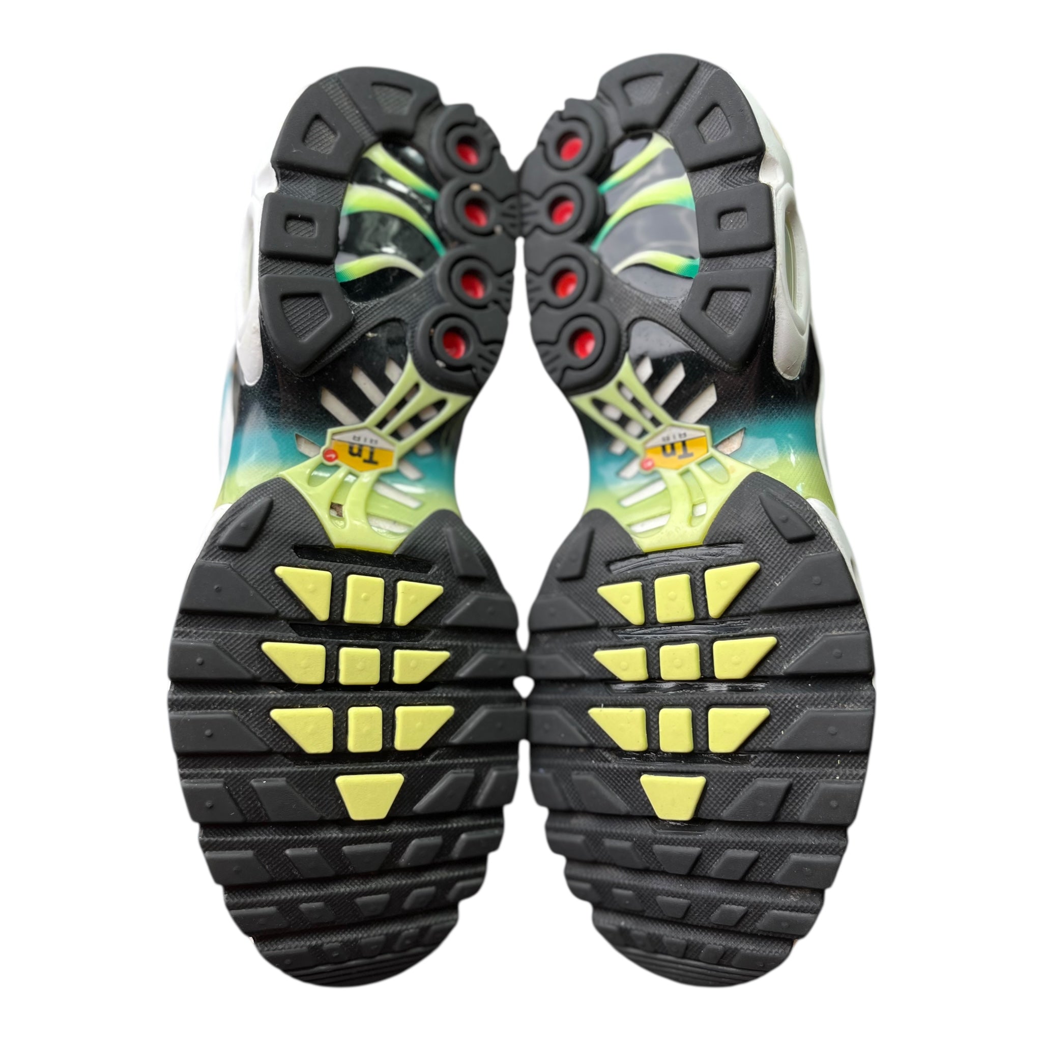 Nike Air Max Plus Tn Dusty Cactus  (41EU)