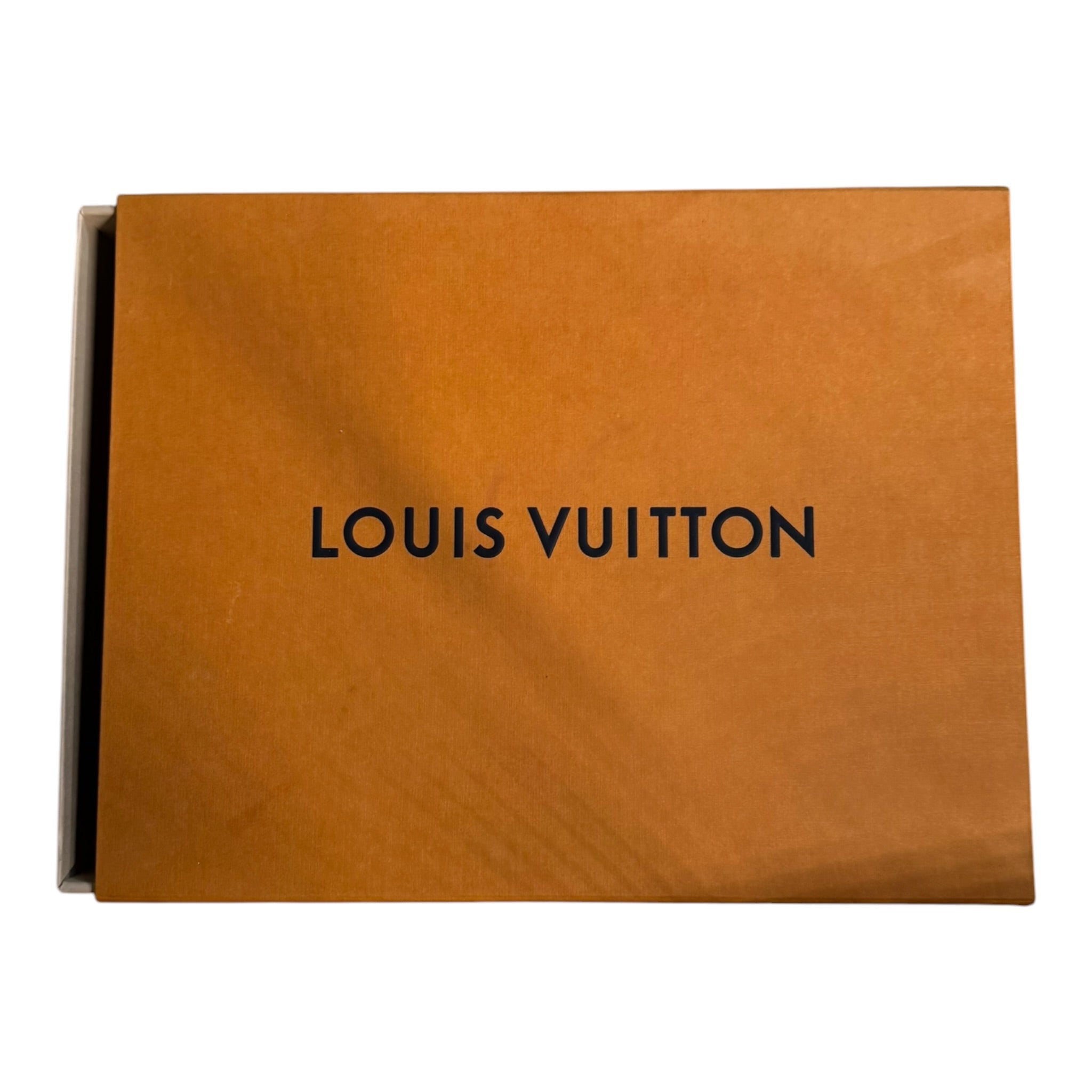 Louis Vuitton Skate (43.5EU)