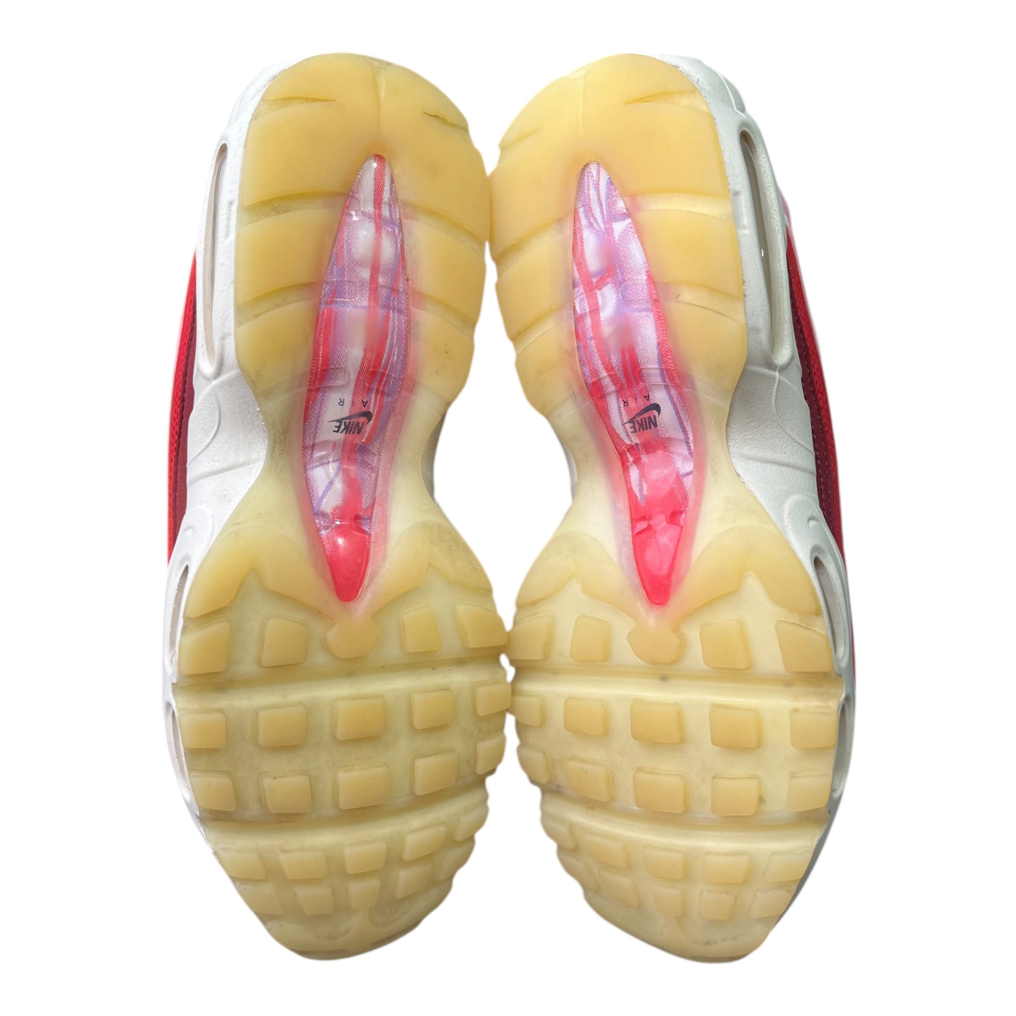 Nike Air Max 95 Anatomy Of Air (40.5EU)