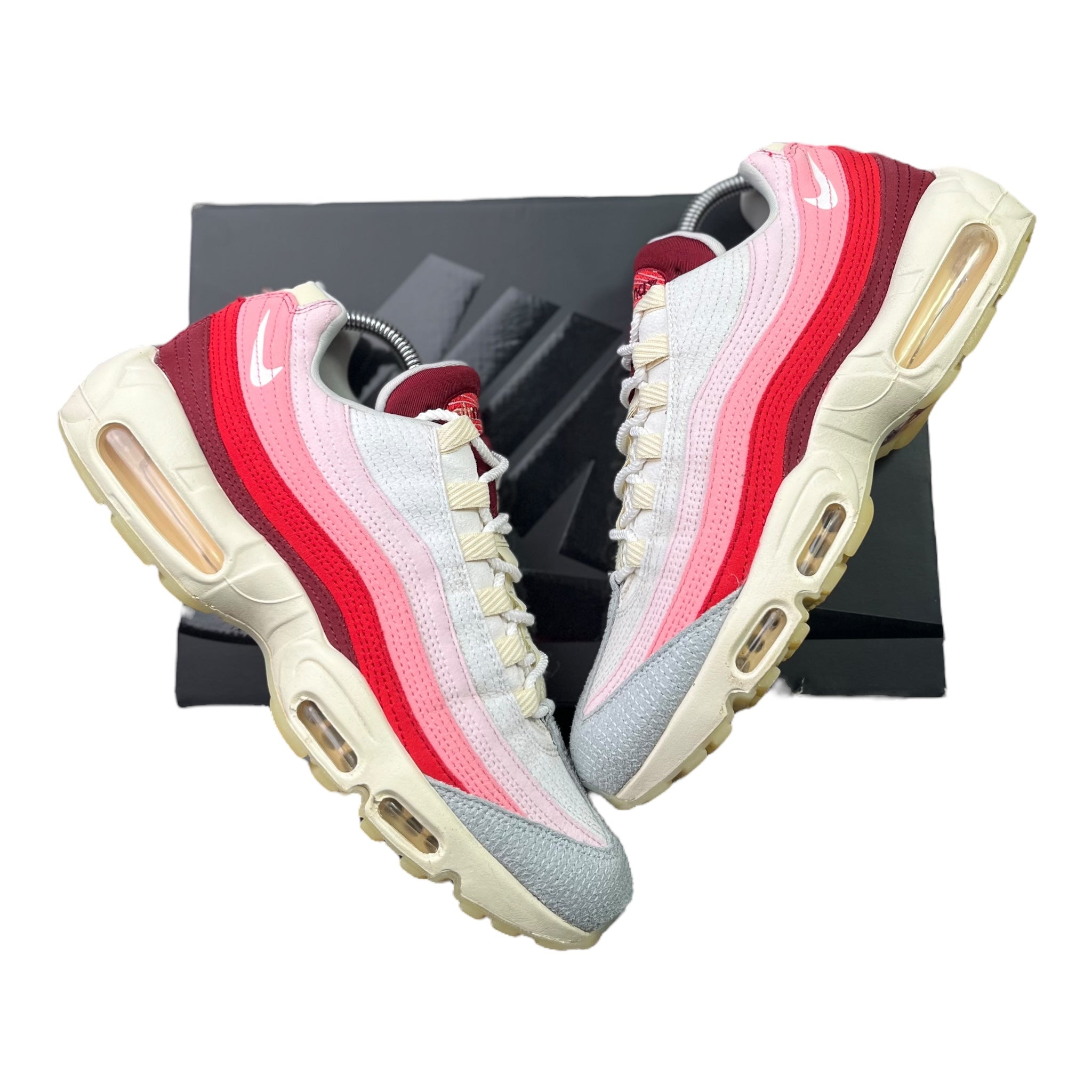 Nike Air Max 95 Anatomy Of Air (44EU)