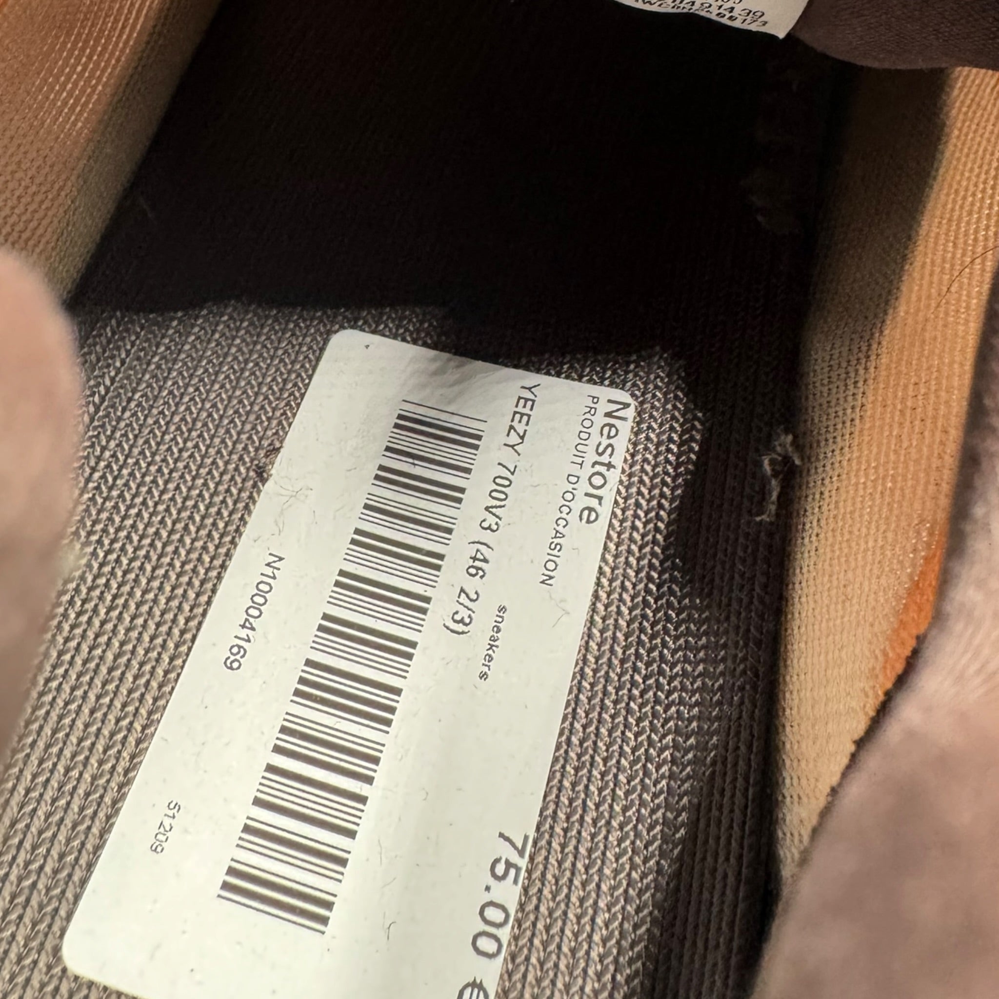 Yeezy 700 V3 (46.5EU)
