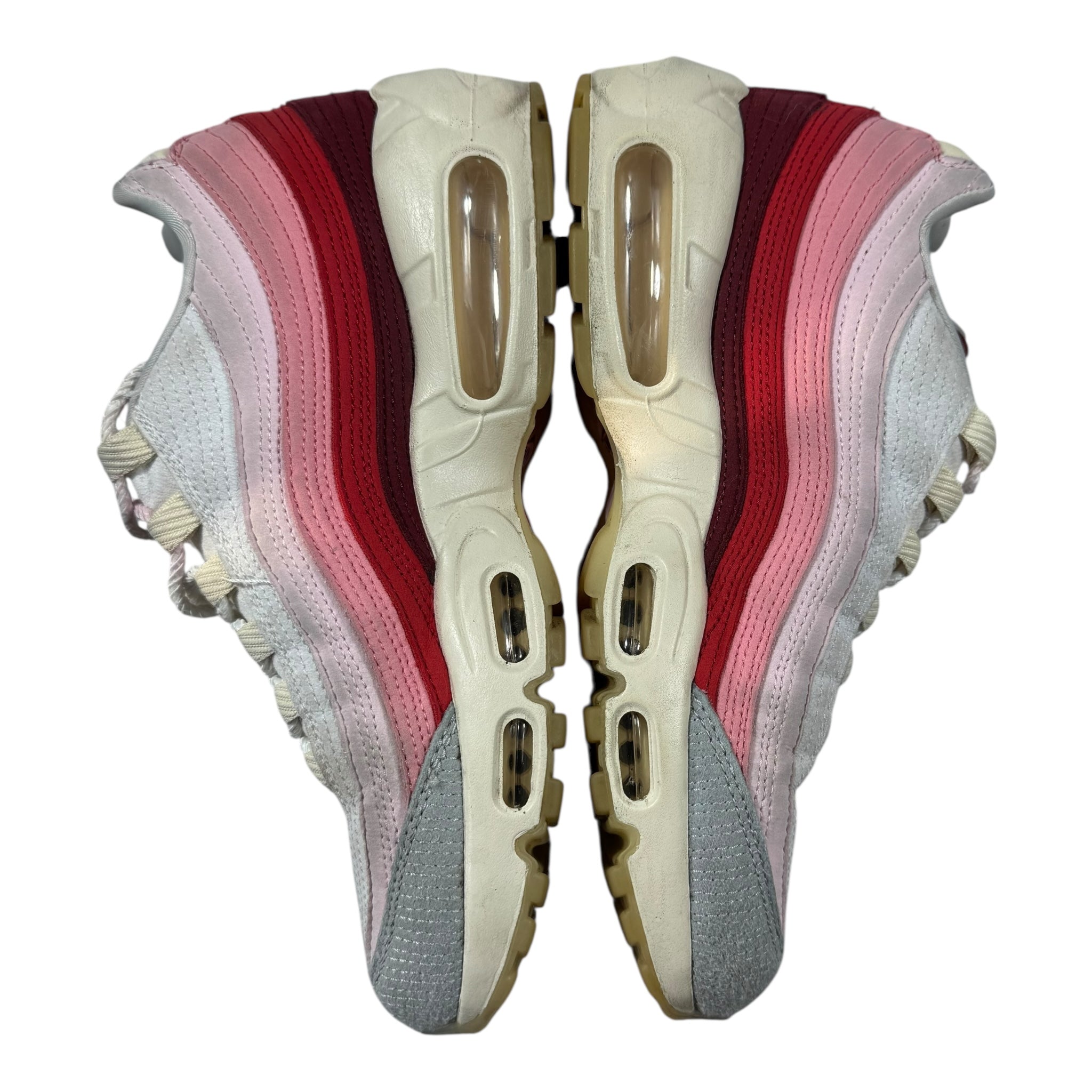 Air Max 95 anatomy of air (40EU)