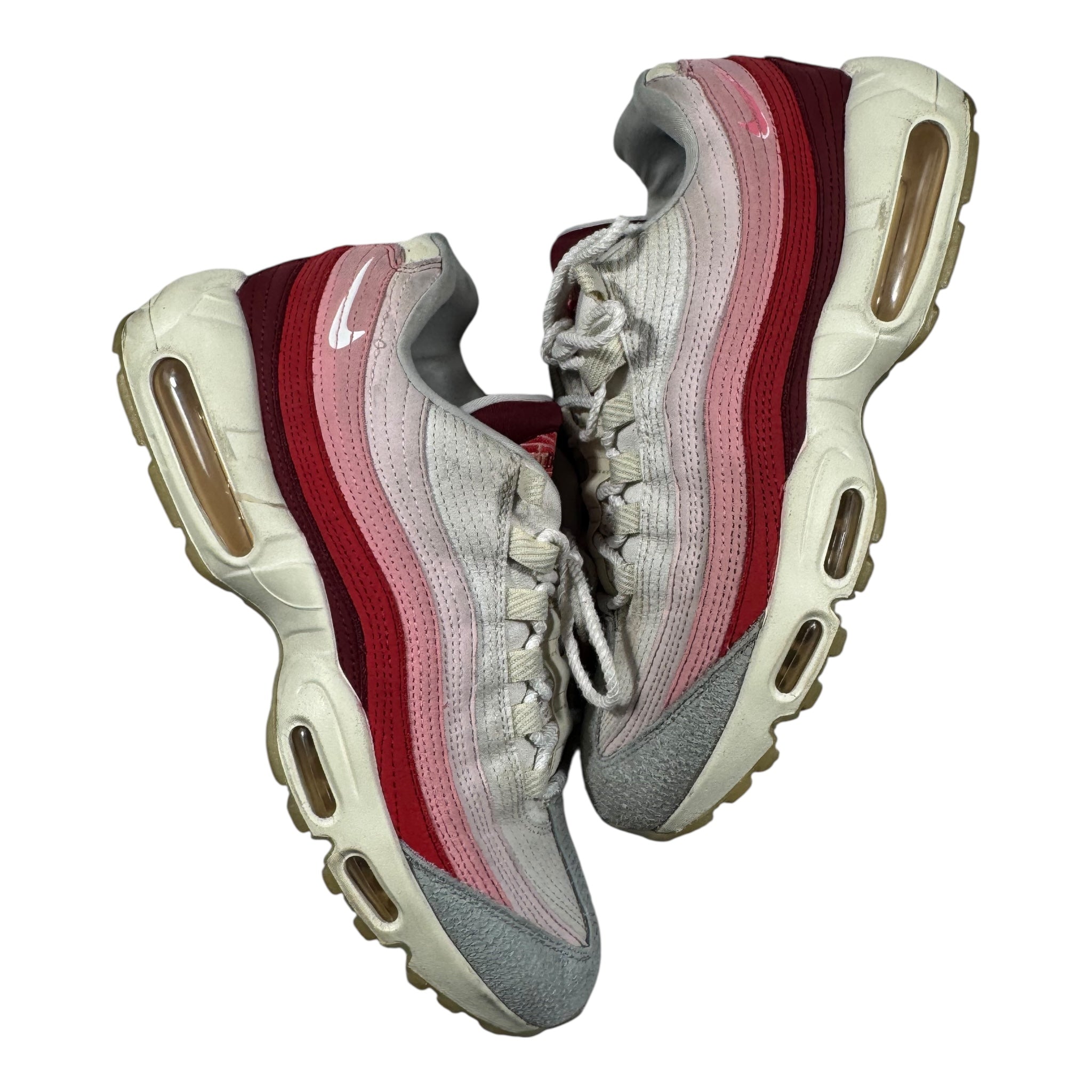 AIR Max 95 anatomy of air (44.5EU)