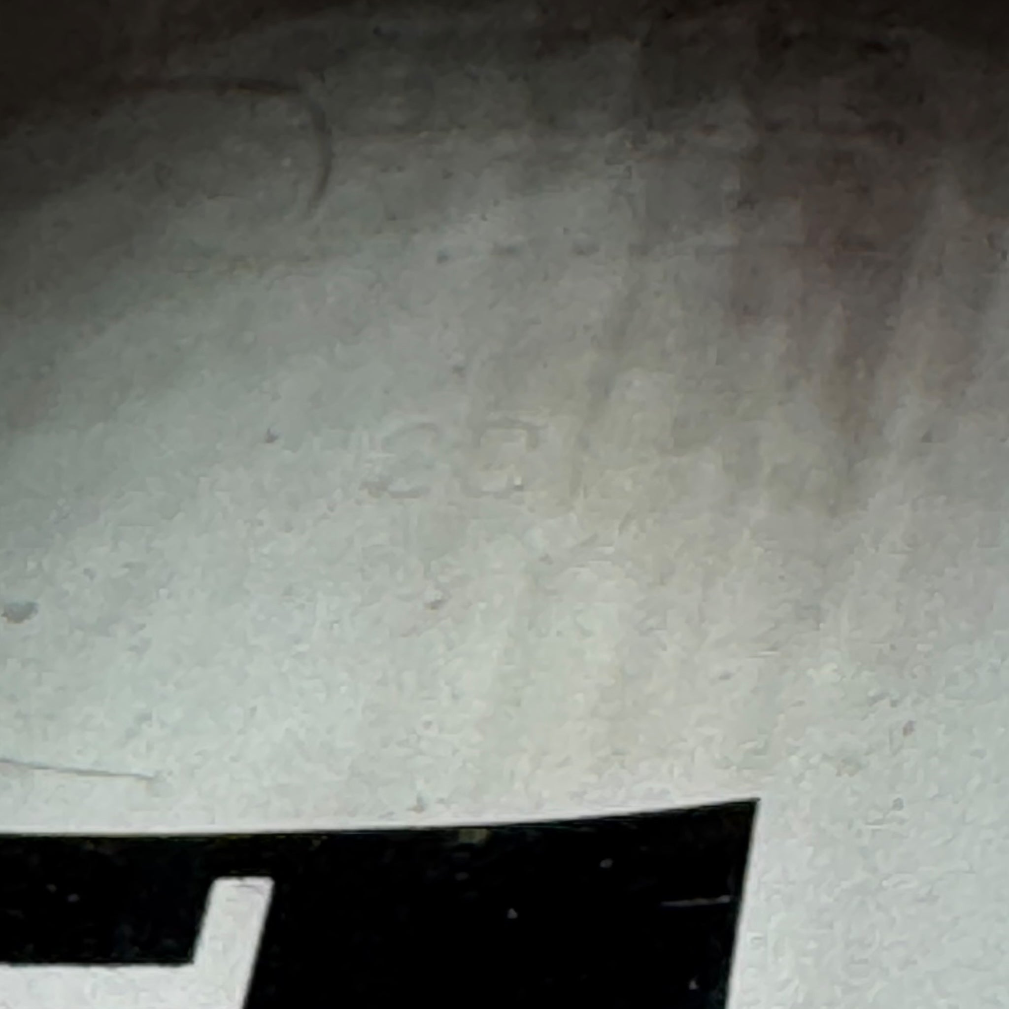 Golden Goose Super Star (38EU)