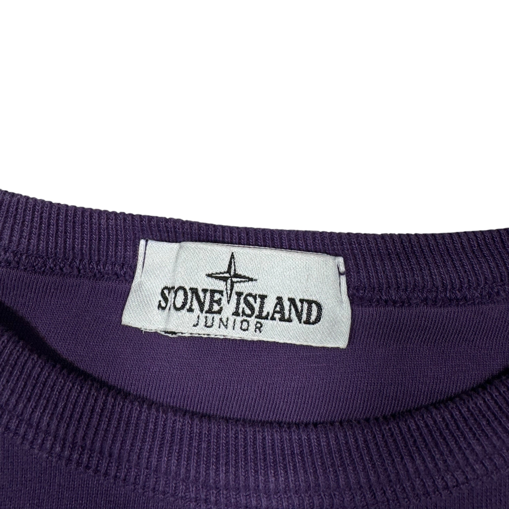 Sweat Stone Island (14A)