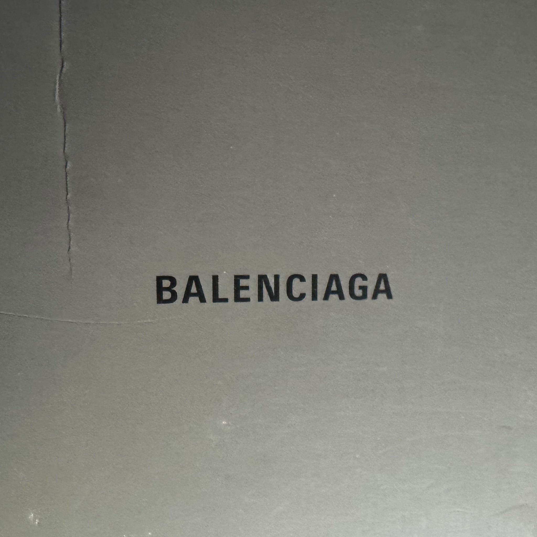 Balenciaga Track (39EU)