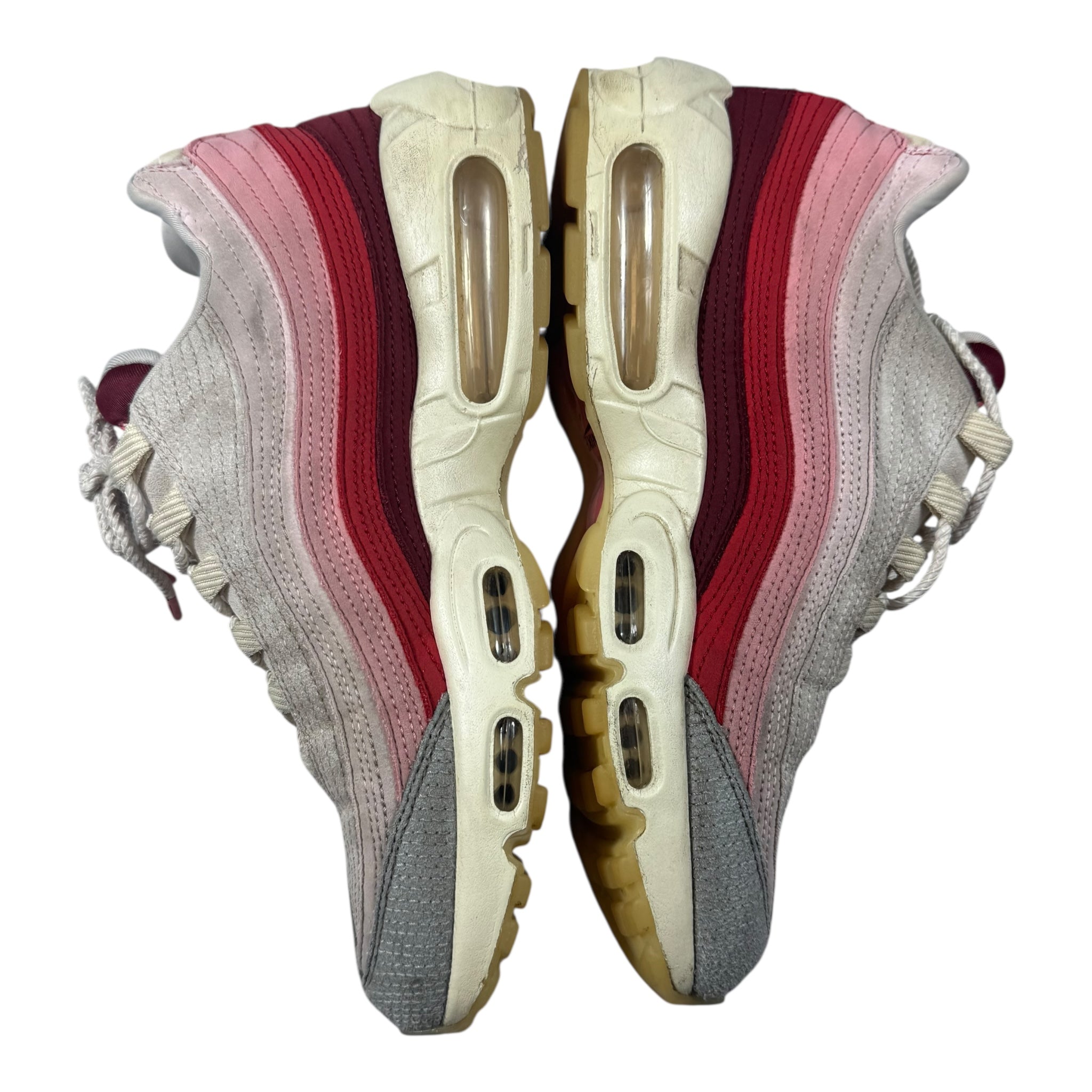 Air Max 95 Anatomy (41.5EU)