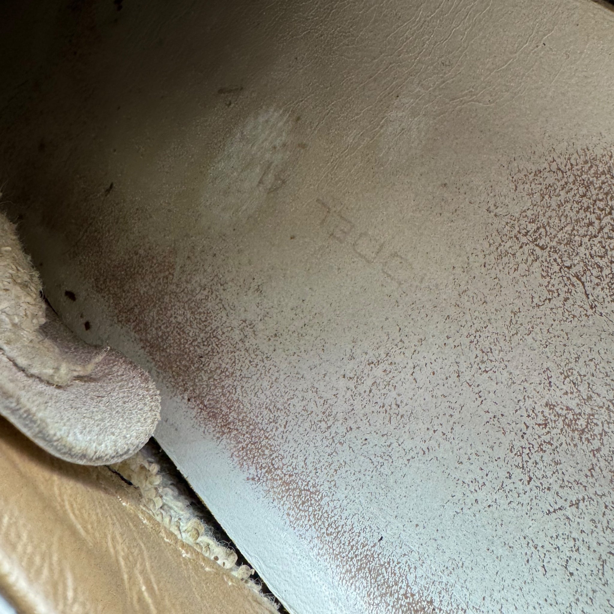 Philipe Model (41EU)