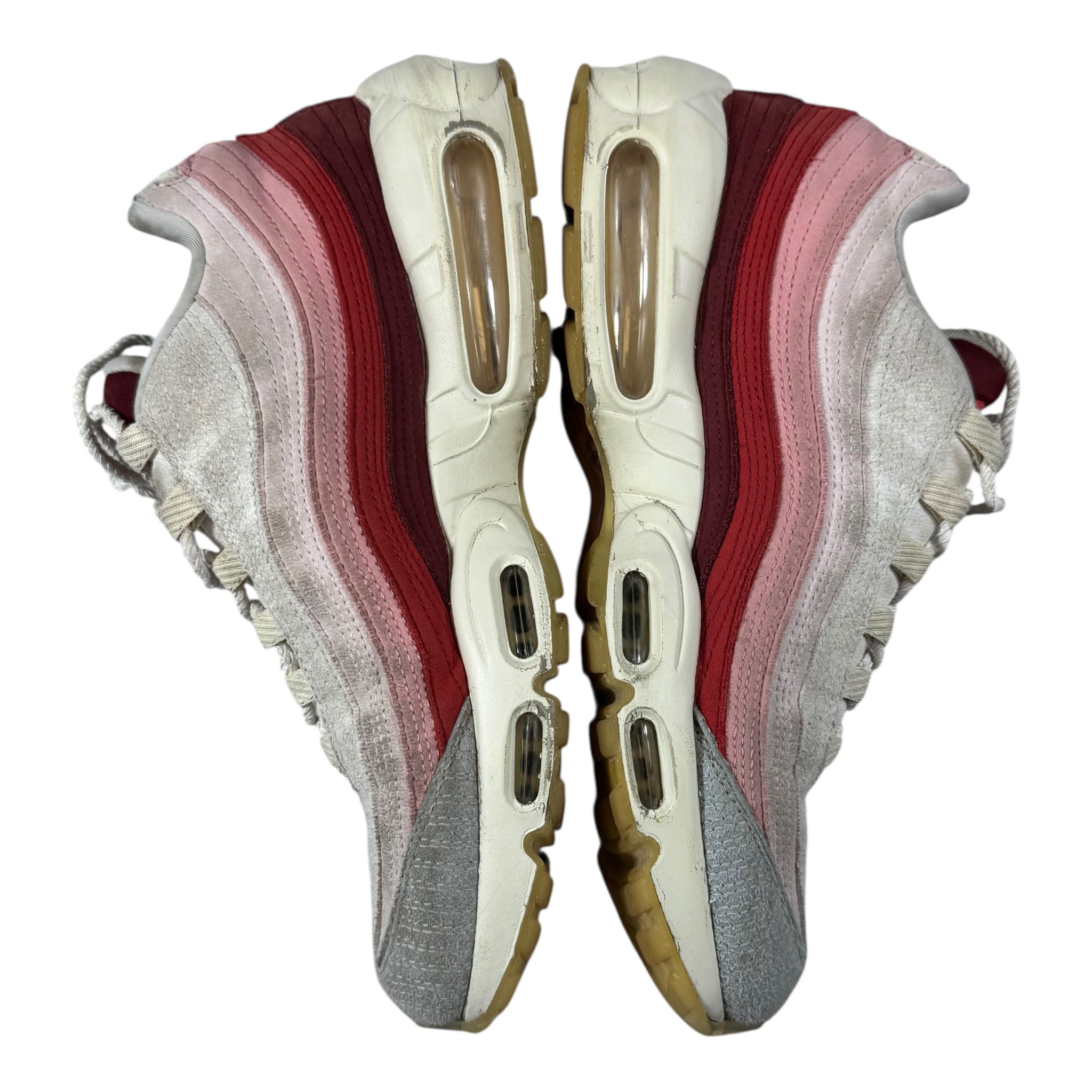 Air max 95 Anatomy (45)