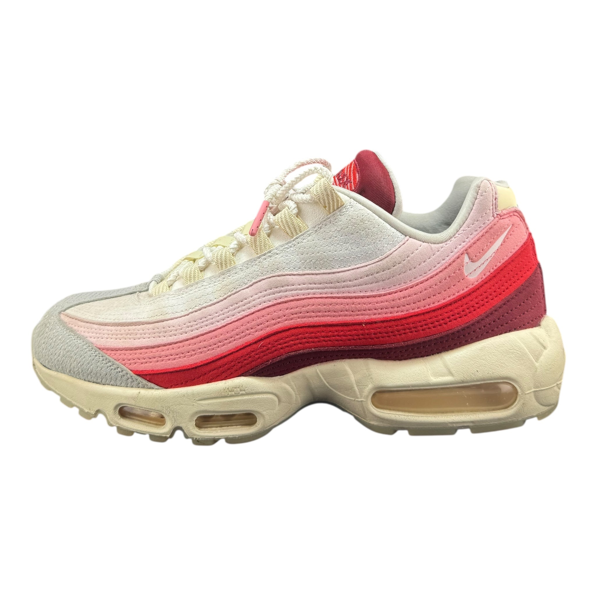 Air Max 95 Anatomy Of Air (44.5EU)