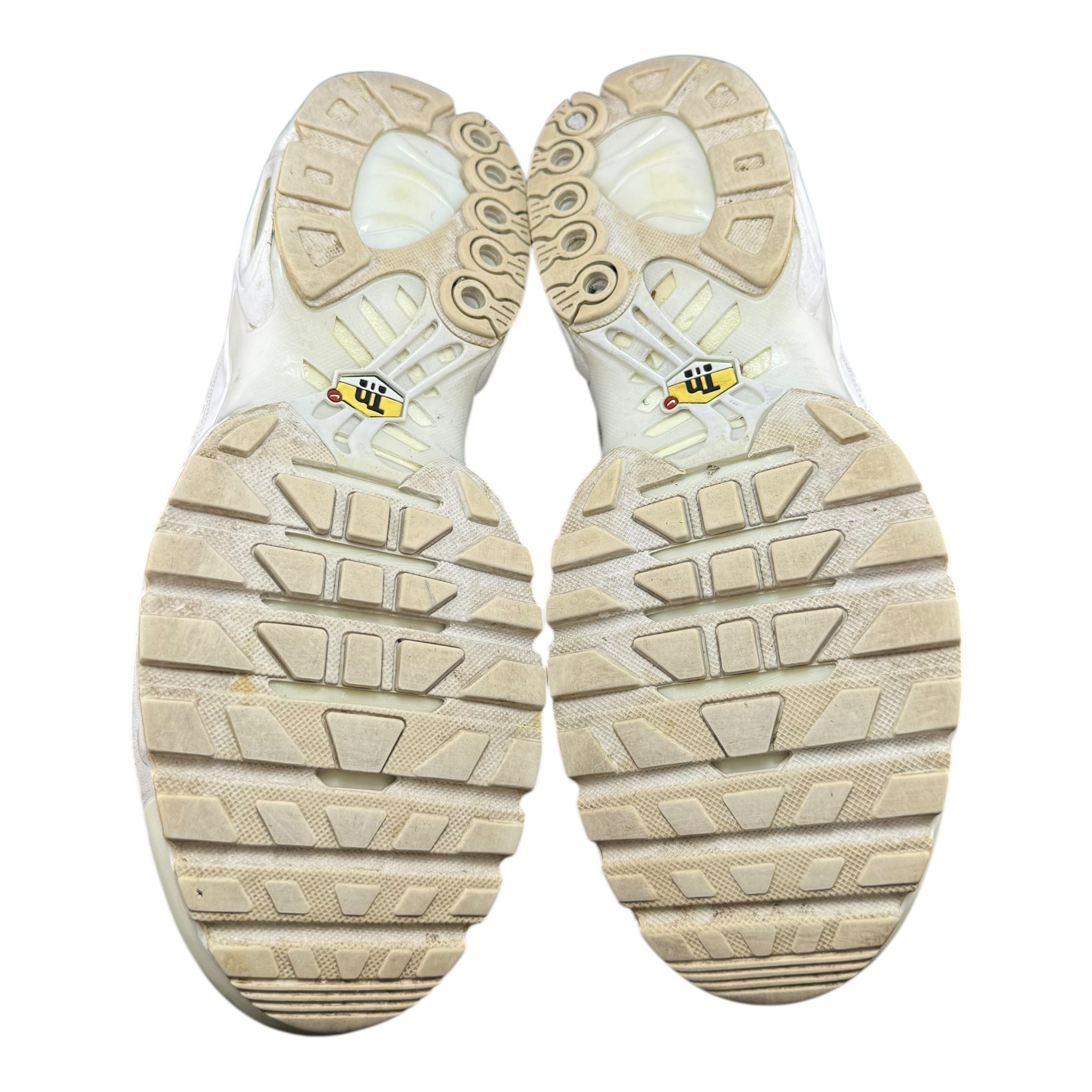 Air Max Tn Supreme (44.5EU)