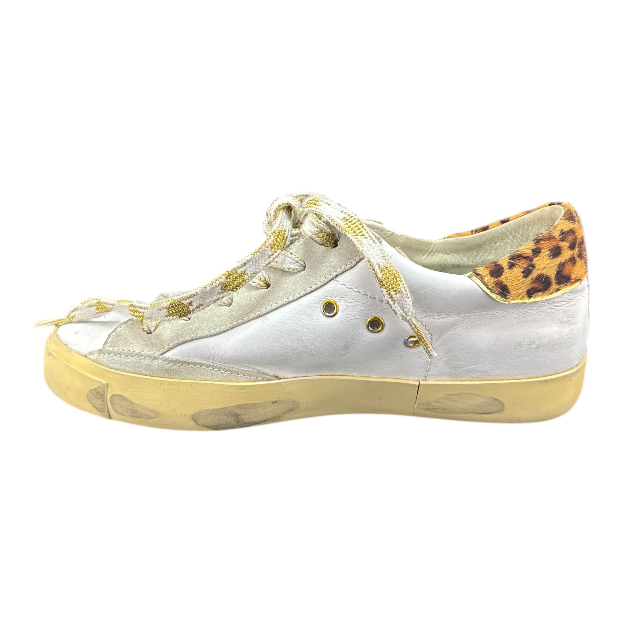 Philipe Model (37EU)