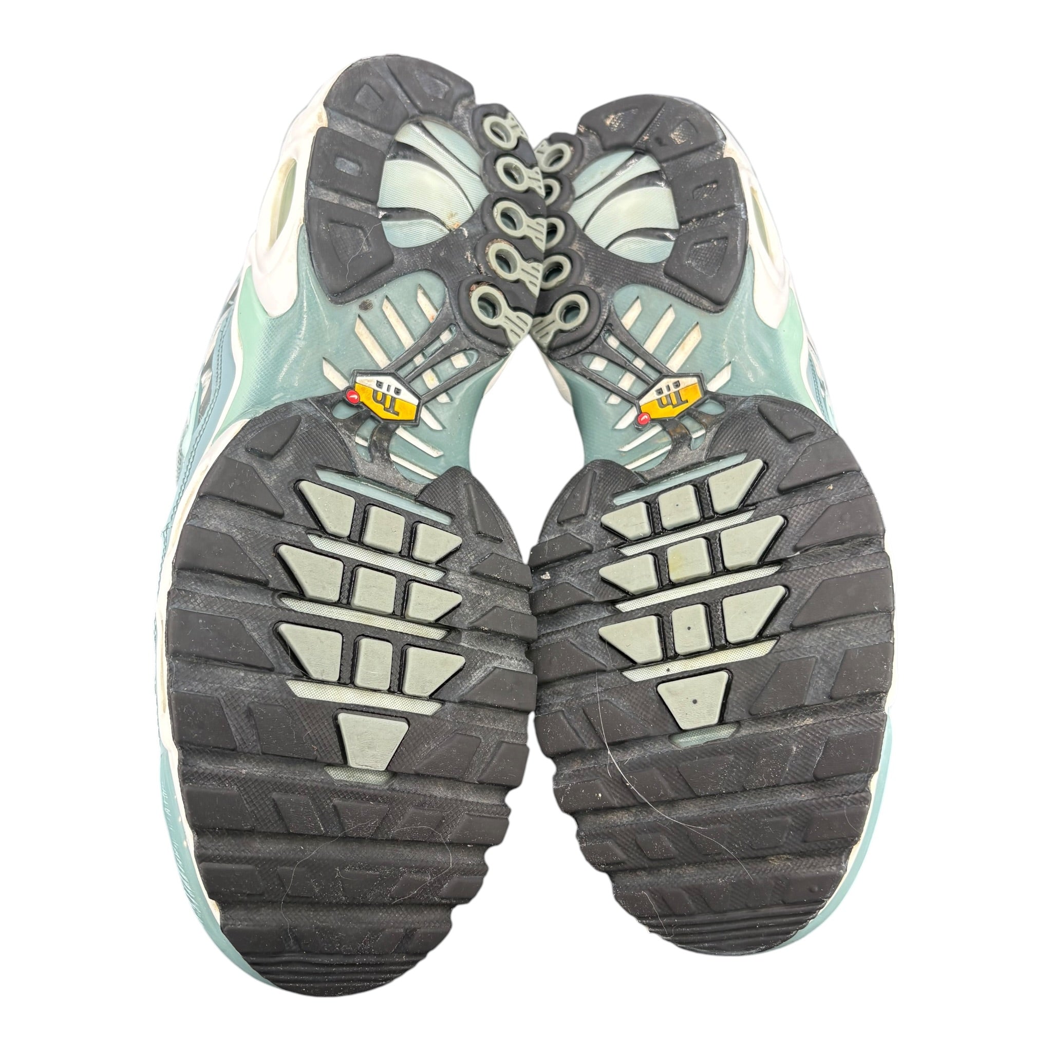 Nike Air Max TN Palm Green (44EU)