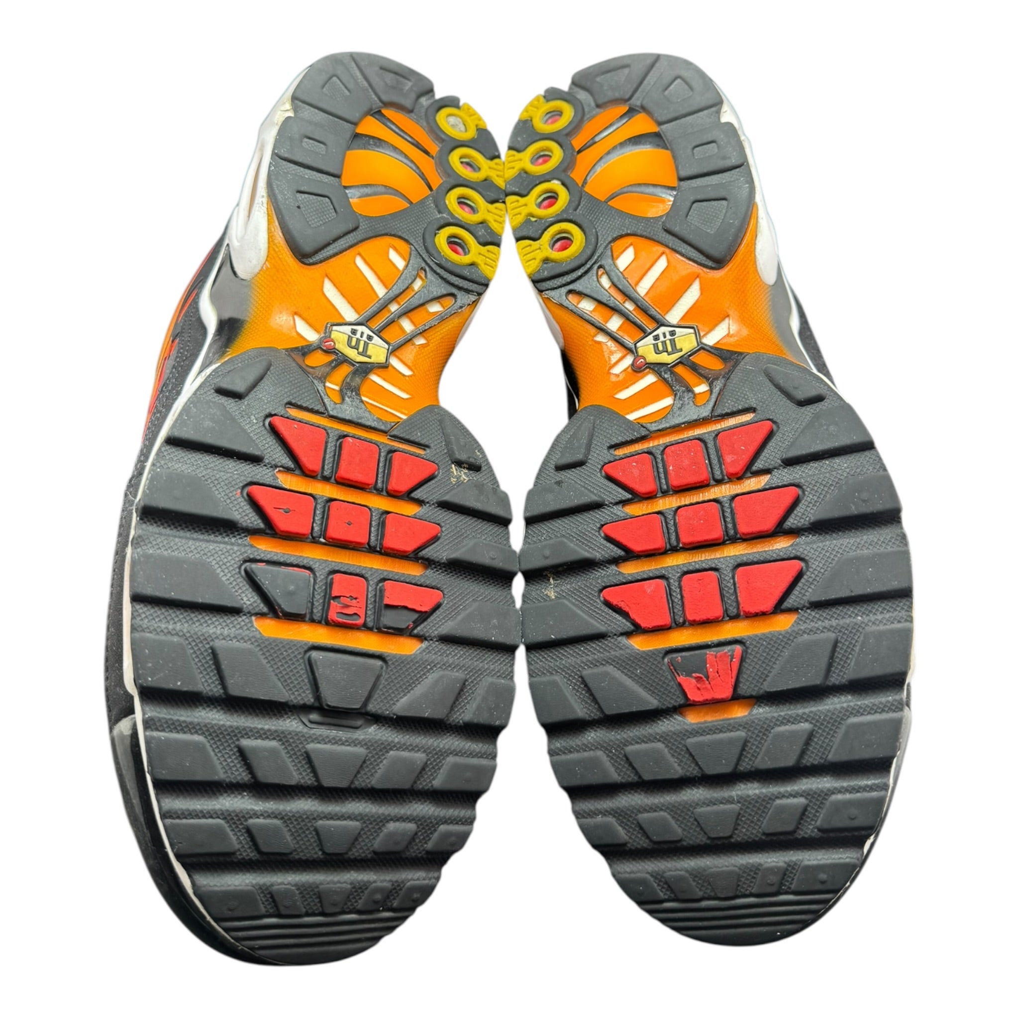 Air Max TN Tiger (42.5EU)