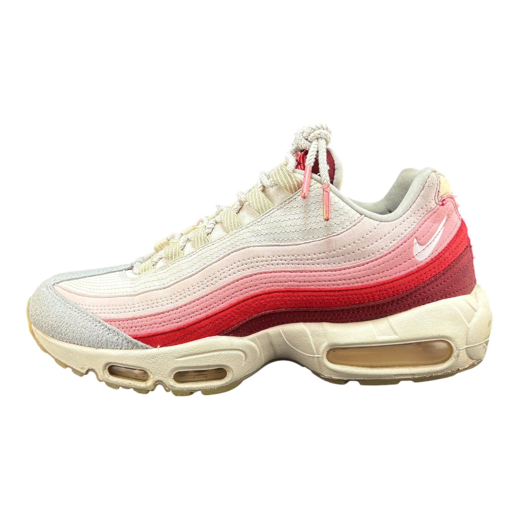 Air Max 95 Anatomy of Air (44.5EU)