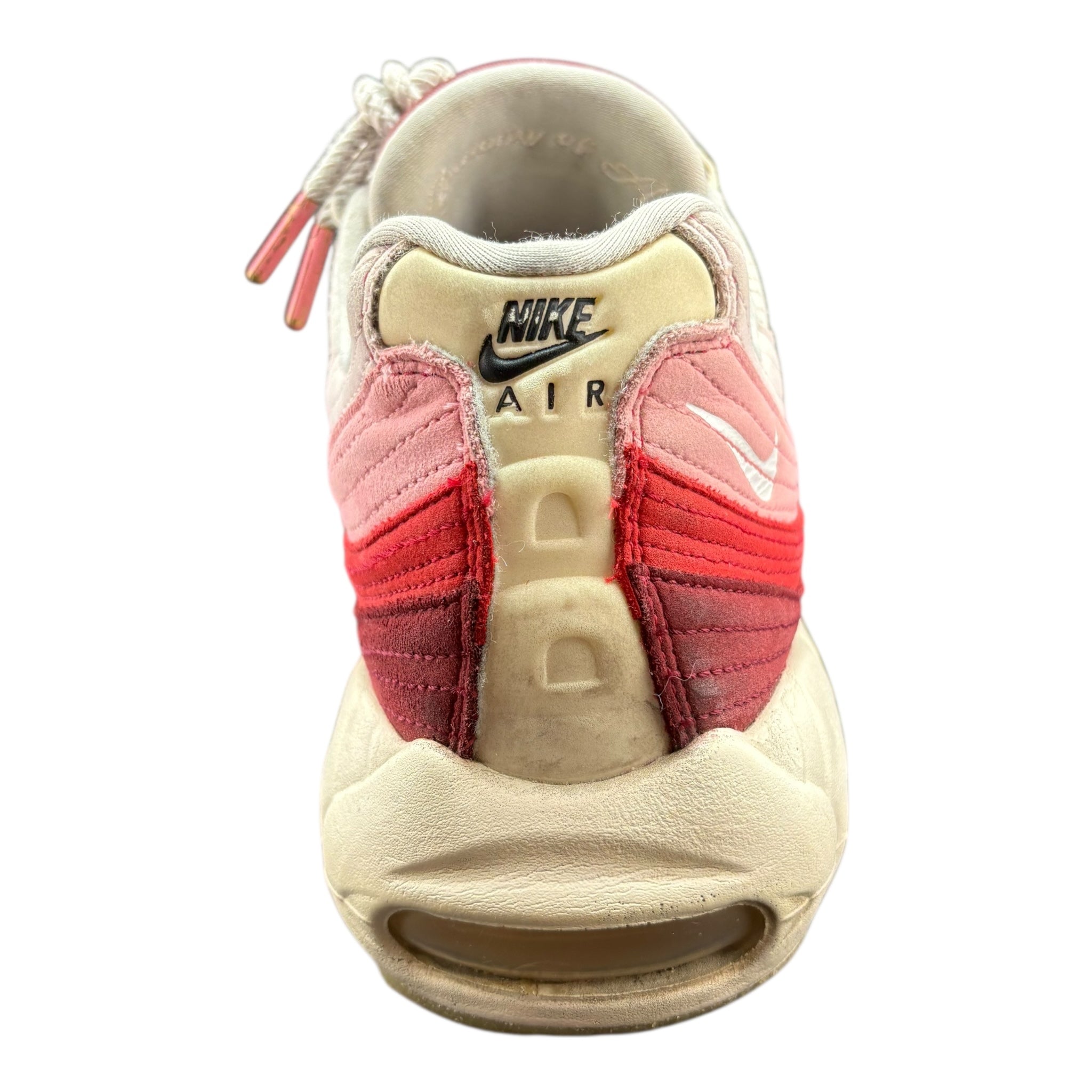 Air Max 95 Anatomy of Air (44.5EU)