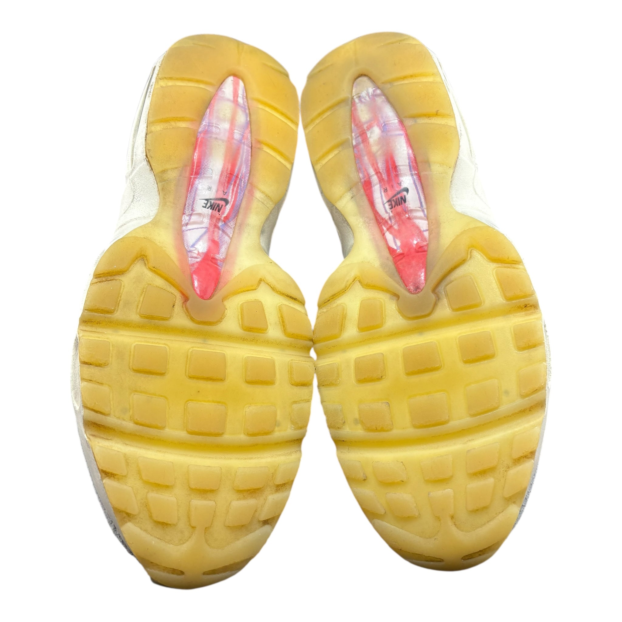 Air Max 95 Anatomy of Air (44.5EU)