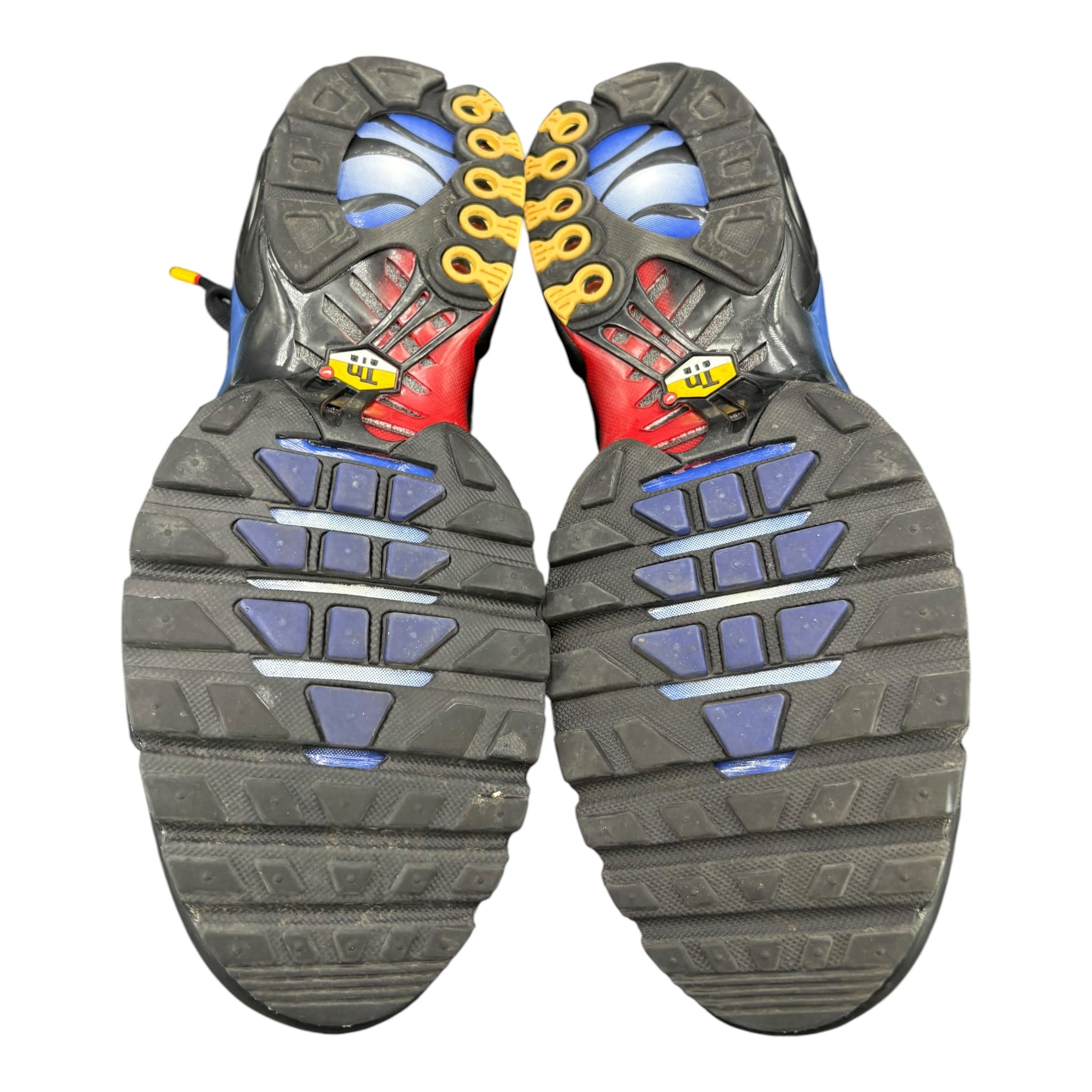 Air Max TN 25th Anniversary (44.5EU)