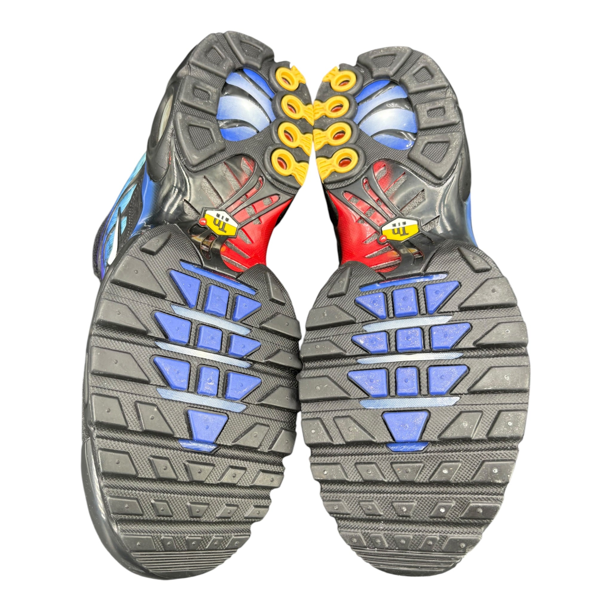 Air Max Plus TN 25th Anniversary (43EU)