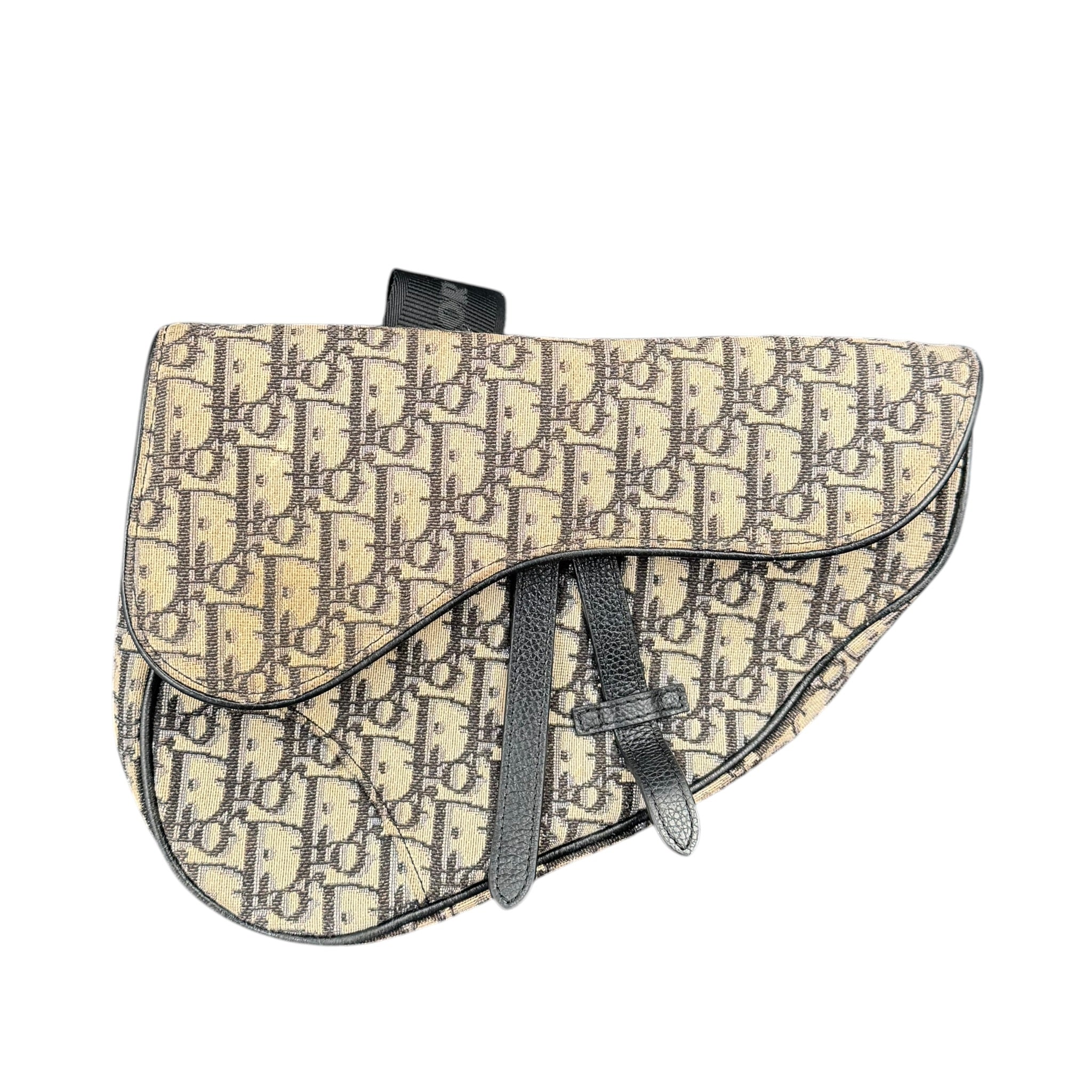 Sac Saddle Dior