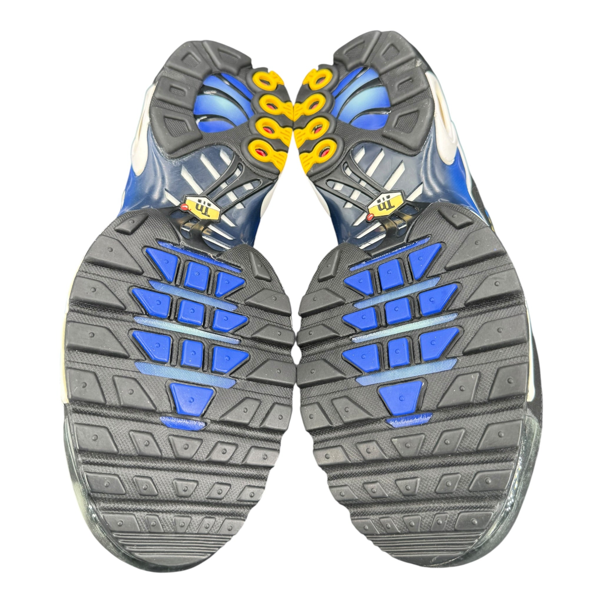 Air Max TN DS (43EU)